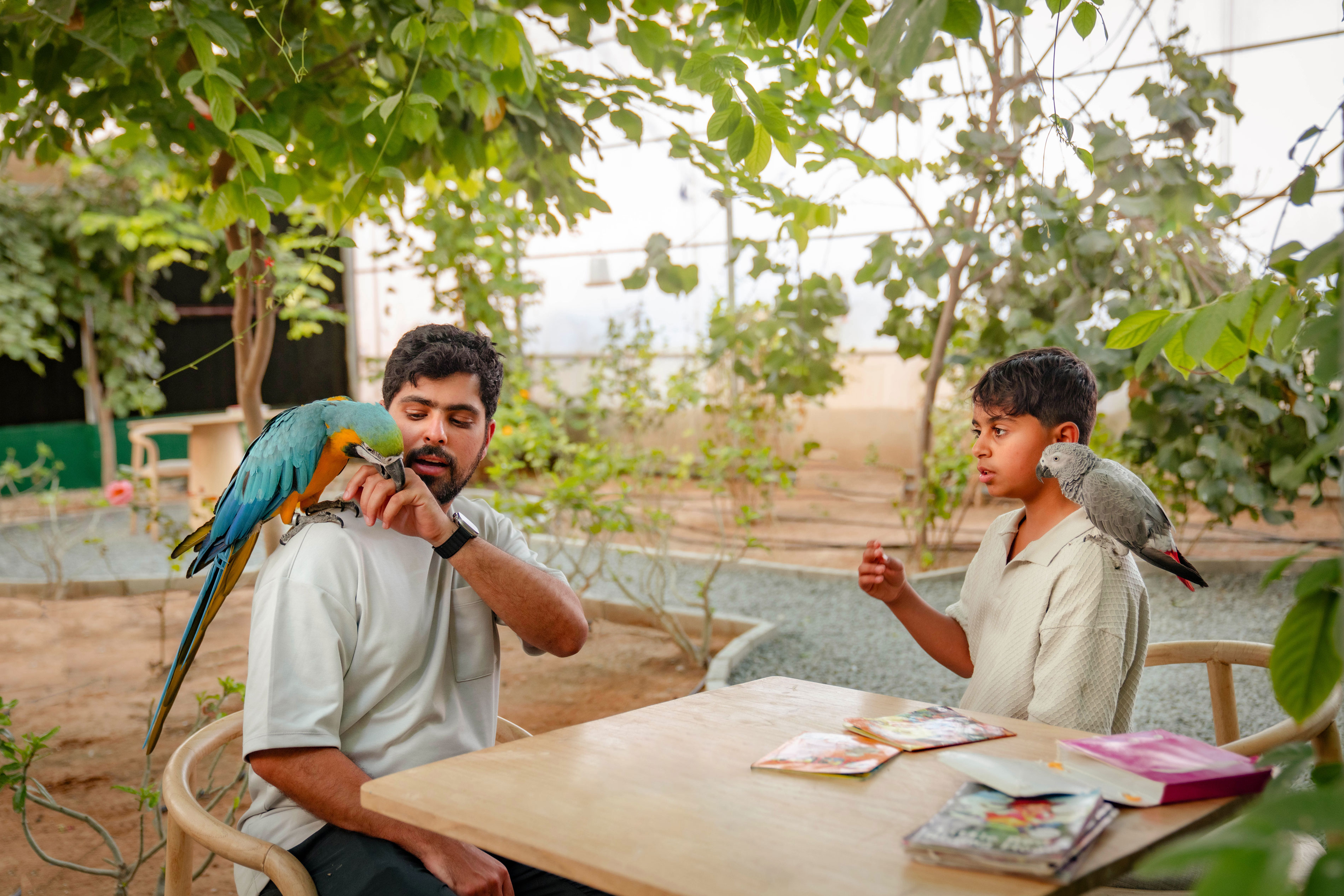 شاهد السلسلة الوثائقية عن منطقة العين